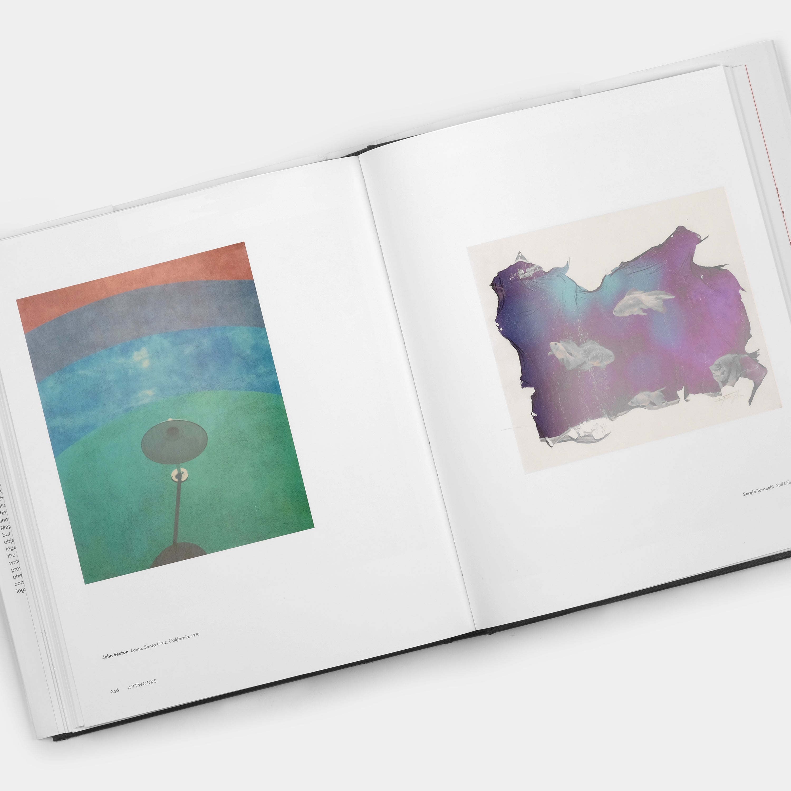 The Polaroid Project: At the Intersection of Art and Technology Book