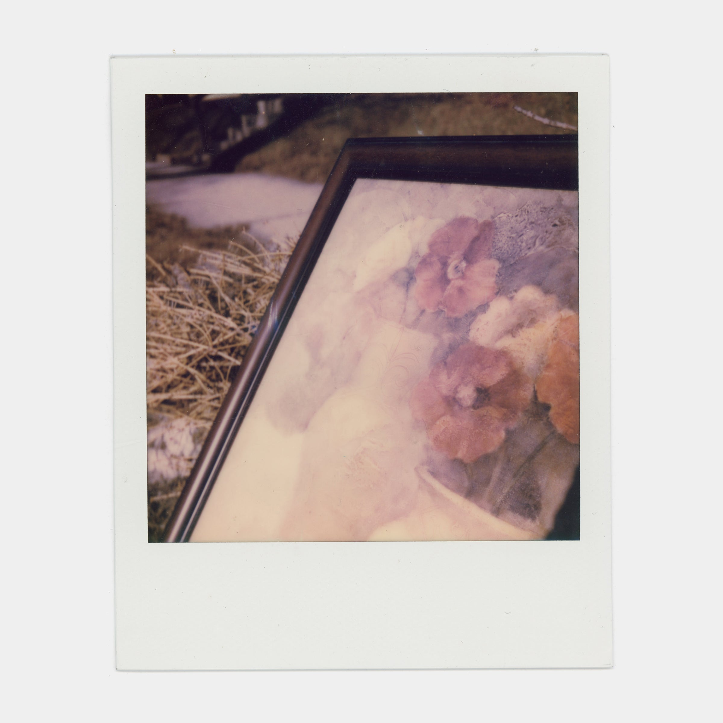 Polaroid SX-70 Color Instant Film Photo